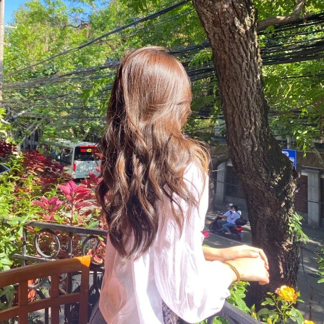 蓝色大丽花